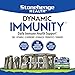 Stonehenge Health Dynamic Immunity Daily Supplement 10-in-1 Immune Boosters Zinc, Elderberry, Echinacea, Vitamin C & Probiotic L. Acidophilus – Supports Immune System & Respiratory Health, 60 Capsules