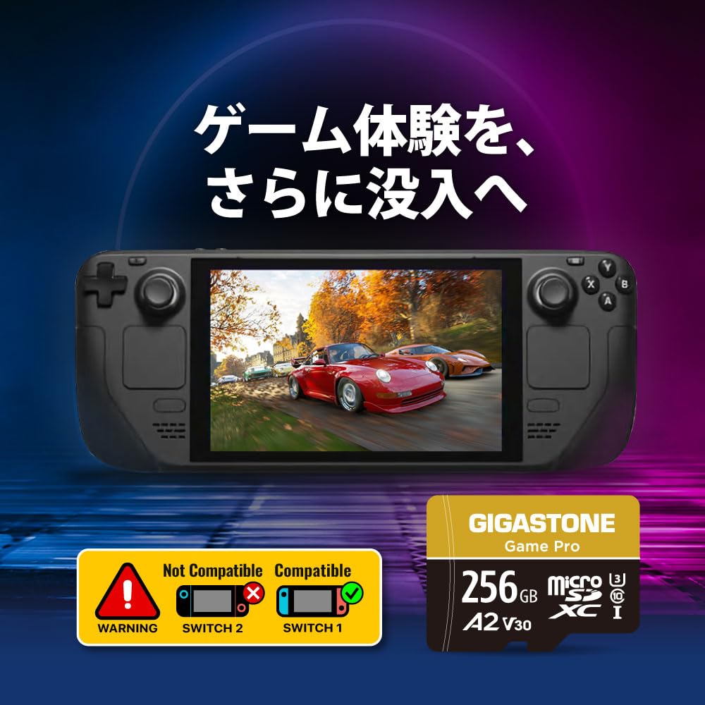 Amazon | 【Switch 1専用】GIGASTONE マイクロsdカード 256GB