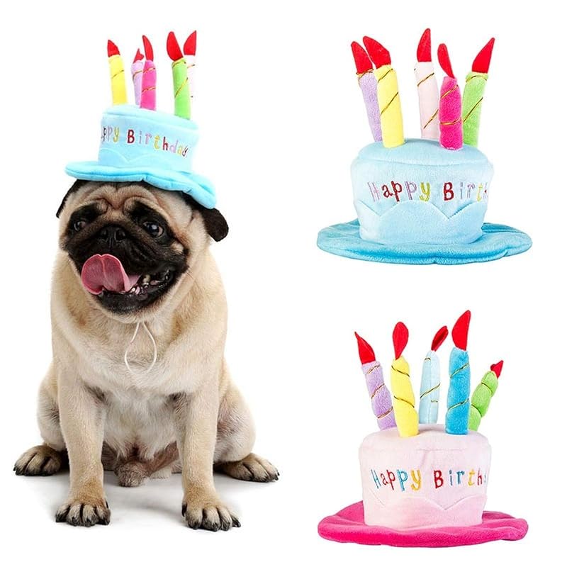 Chapéu de aniversário para cães e gatos com velas coloridas Secfanya, Azul, tamanho único