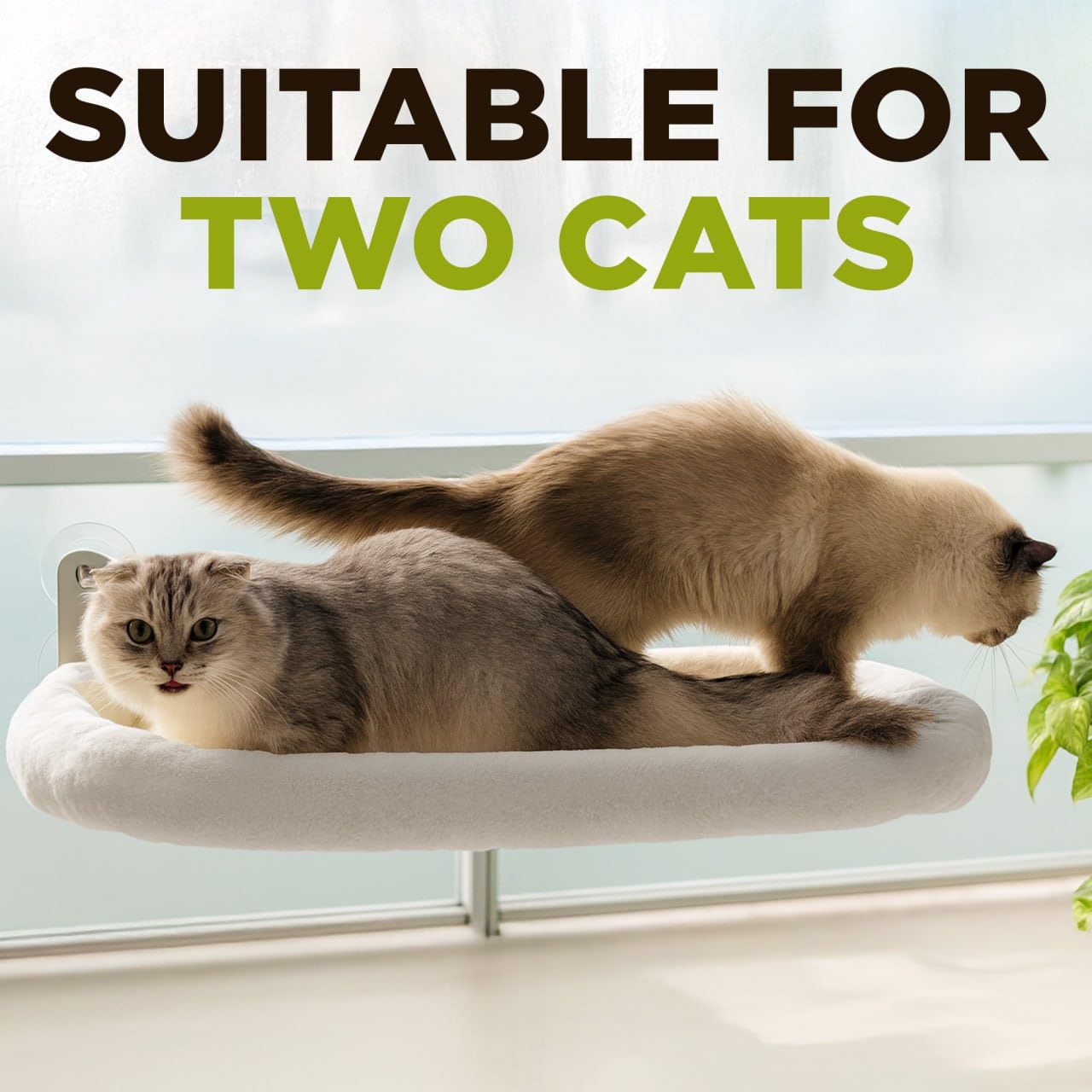 Golden Sheaves Cat Window Perch – Strong 6 Suction Cup Foldable Cat Hammock Bed for Large Cats and Kittens that Holds up to 50 lbs with Washable Reversible Cover, Sturdy Metal Frame for Window (White) - image 6
