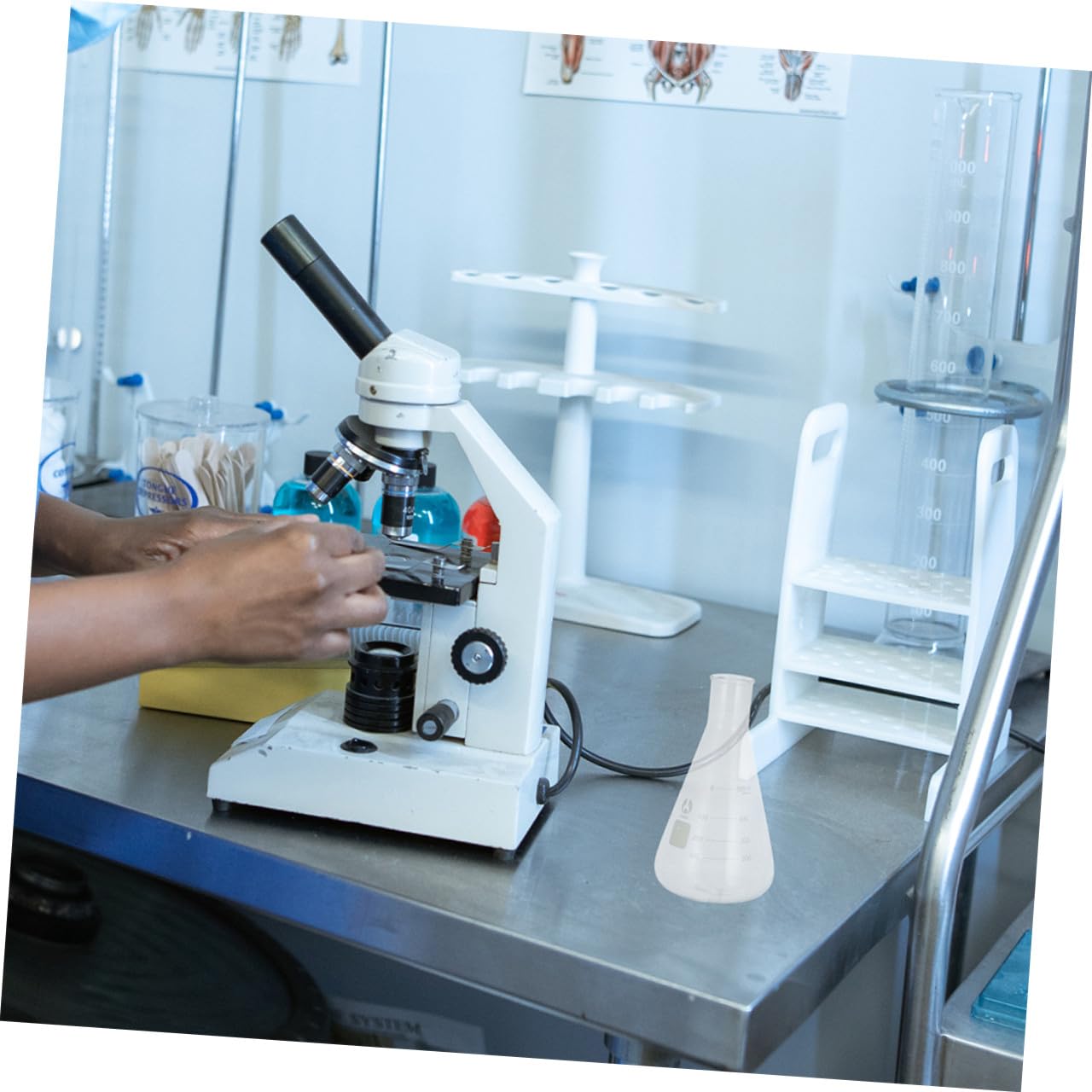 Didiseaon Matraces Erlenmeyer Fondo Plano de Vidrio Borosilicato Juego de 4 Capacidad Estándar y Diseño Cónico para Experimentos en Clase de Química