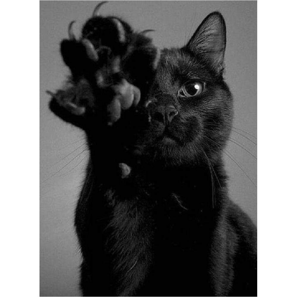 ERUZO 5D Diamond Painting Cross Stitch Black cat Diamond Art Crafts for Home wall decoration40x50cm