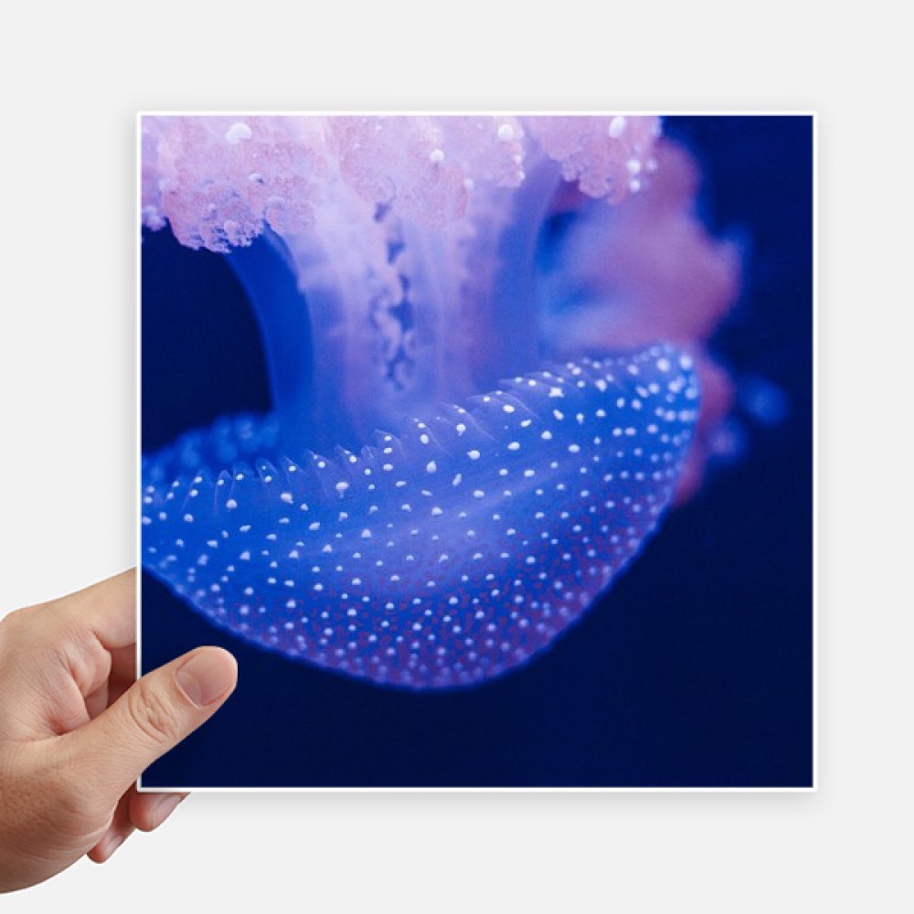 Sticker méduse marine carré 20cm multicolore haute adhérence