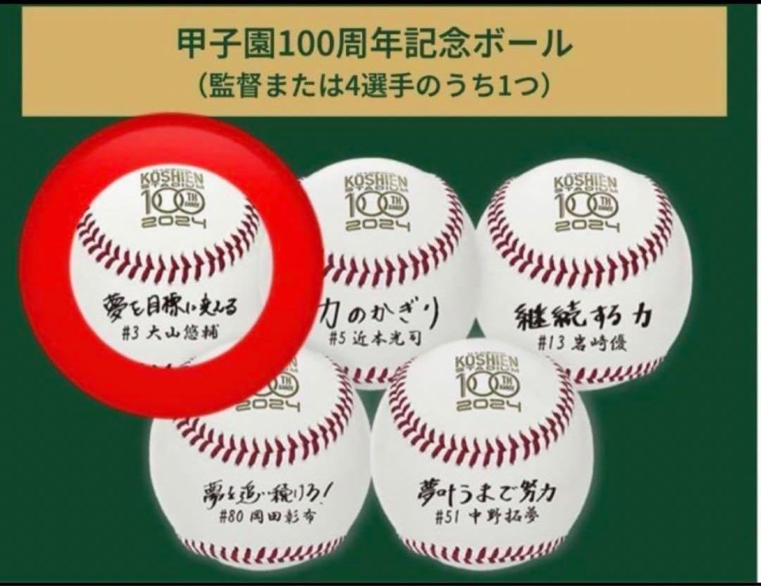阪神タイガース>大山悠輔 甲子園球場100周年記念ボール 甲子園球場 阪神タイガース>大山悠輔 甲子園球場100周年記念ボール 甲子園球場