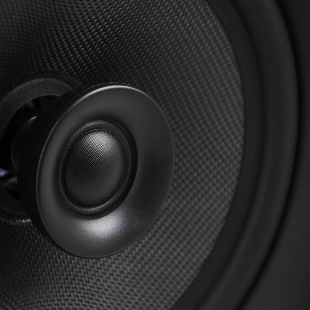 Davis Acoustics 210 RO Pro Enceinte encastrable Passive 150 W