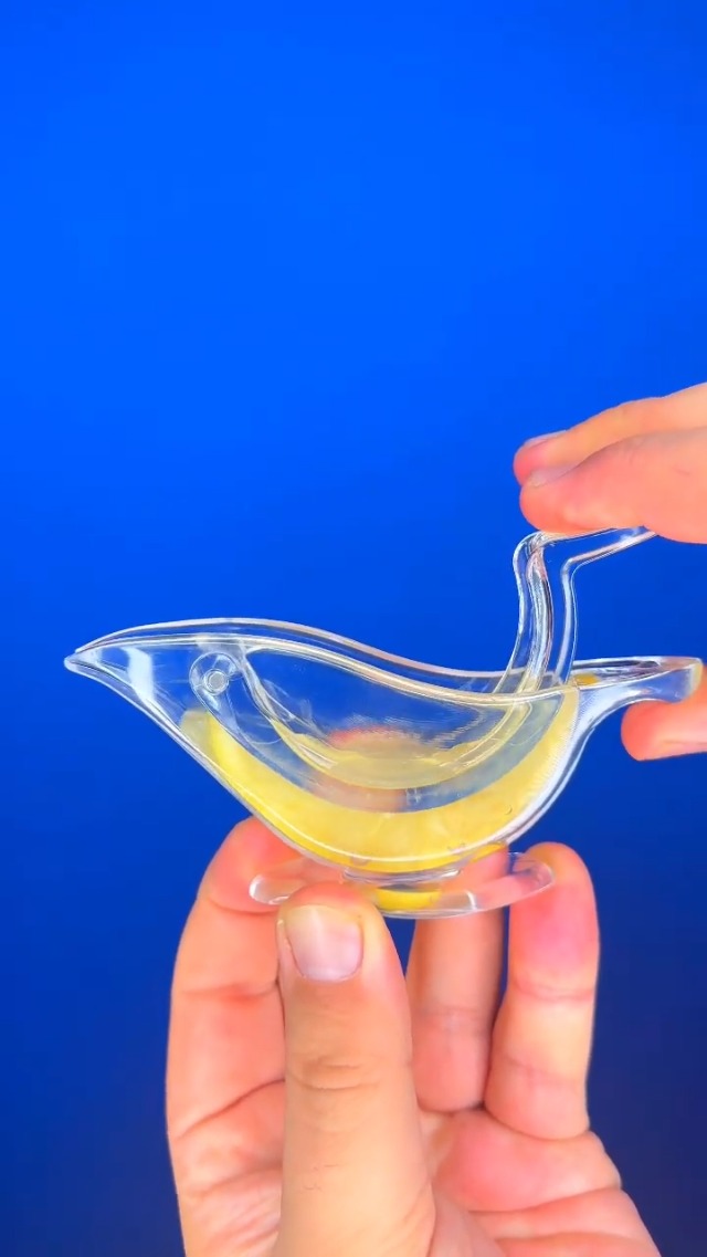 Buy CSOK Bird Lemon Squeezer, Lemon Juicer Acrylic Manual Juice