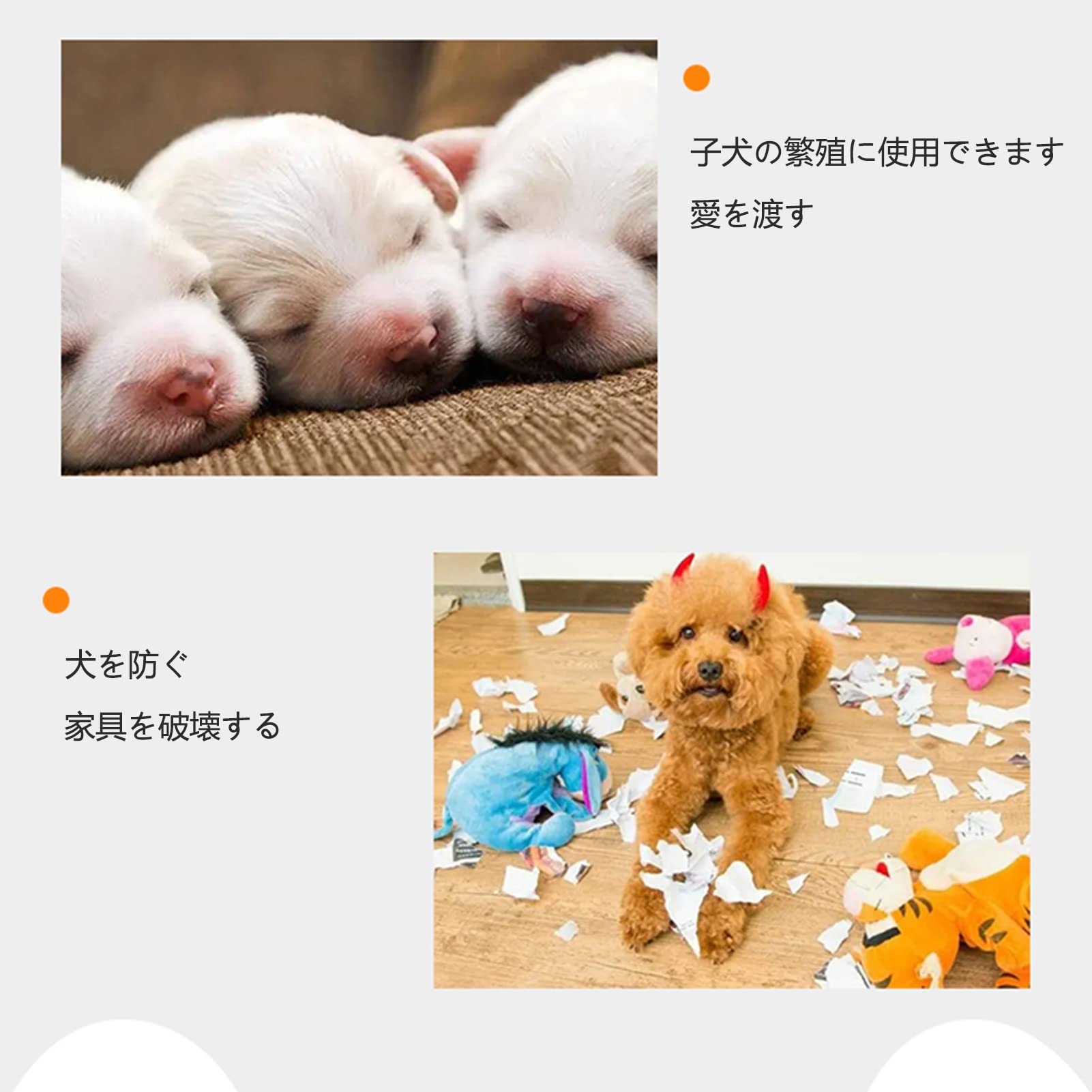 Amazon.co.jp: 110*72*90cm 仕切り付きの繁殖犬ケージ, スチール製