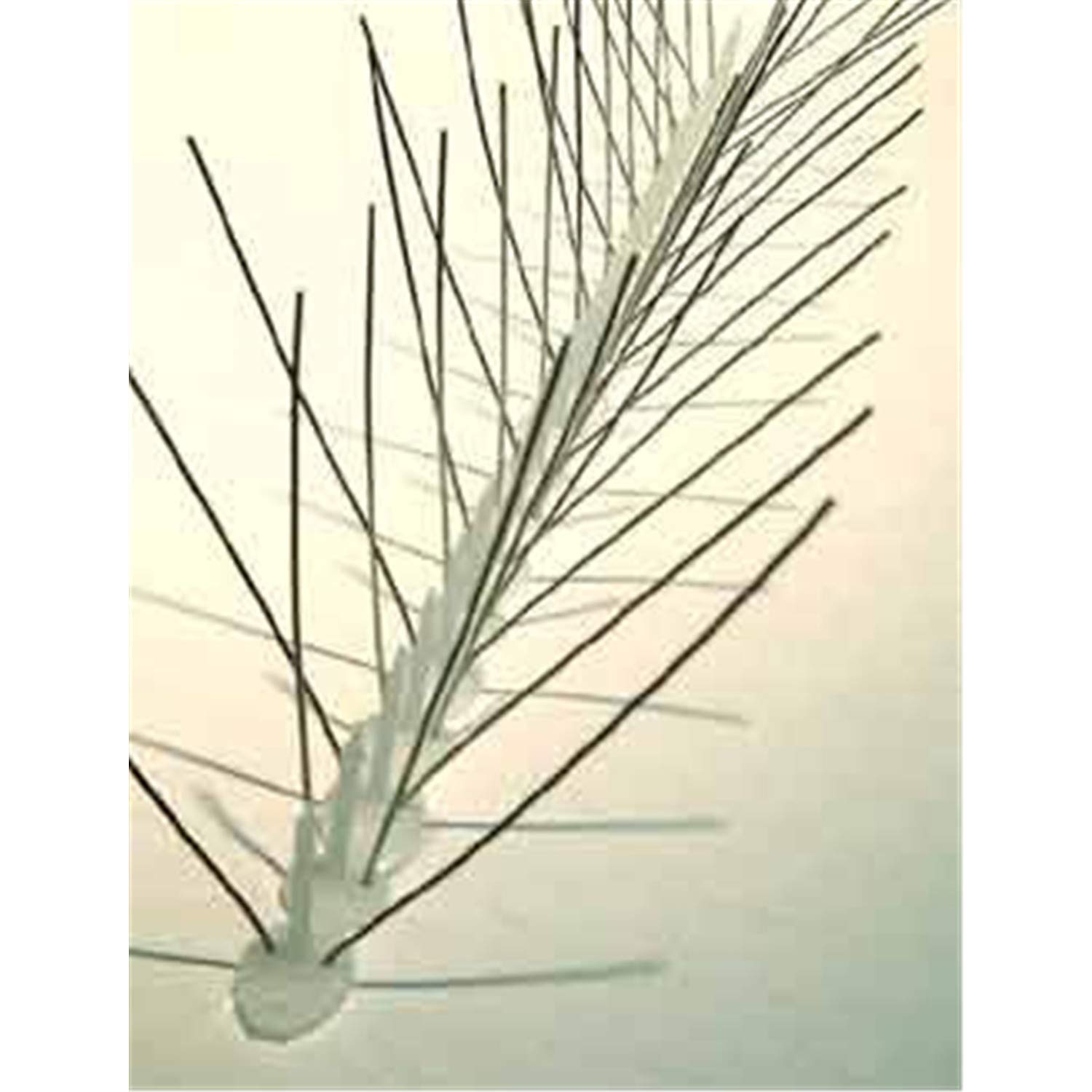 Bird-X Bird Spikes Slim Stainless Steel, 50 Ft