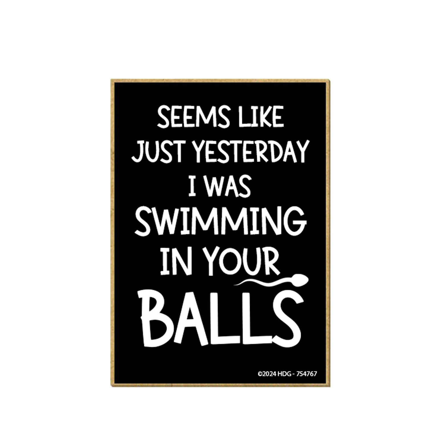 Honey Dew GiftsSeems Like Just Yesterday I was Swimming, Funny Magnets, Fridge Magnet, Funny Sayings Magnets, Locker Decorations, Gag Gifts for Adults, Small Magnets, 2.5 inch by 3.5 Inch, 754767