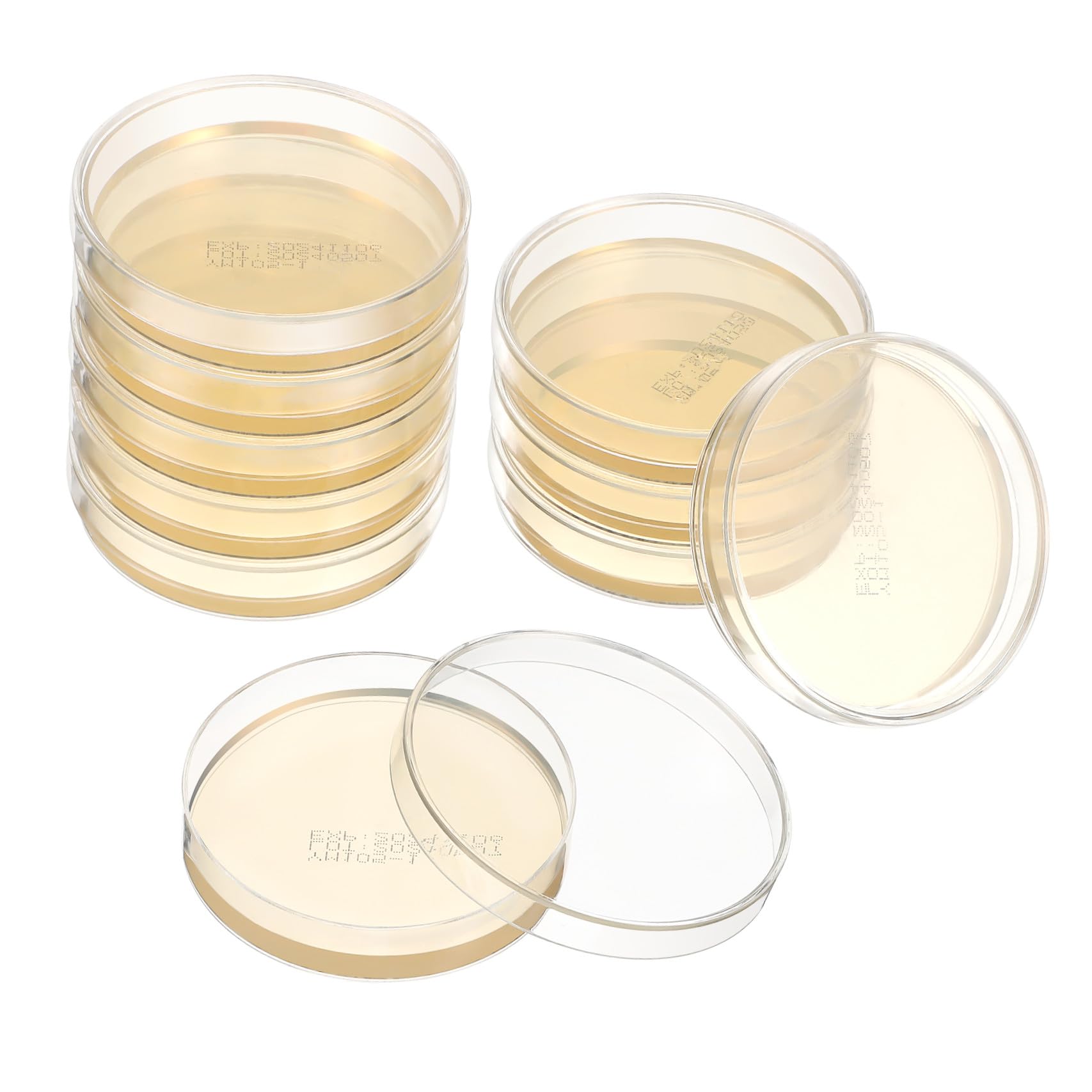 Vorbereitete Nähragarplatten für Mikrobiologie, 7cm, 10 Stück