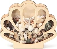 Xylolfsty Wooden Seashell Display Box with Acrylic Window - Shell Organizer for Sea Glass, Starfish, Shark Teeth | Coastal Decor Gift