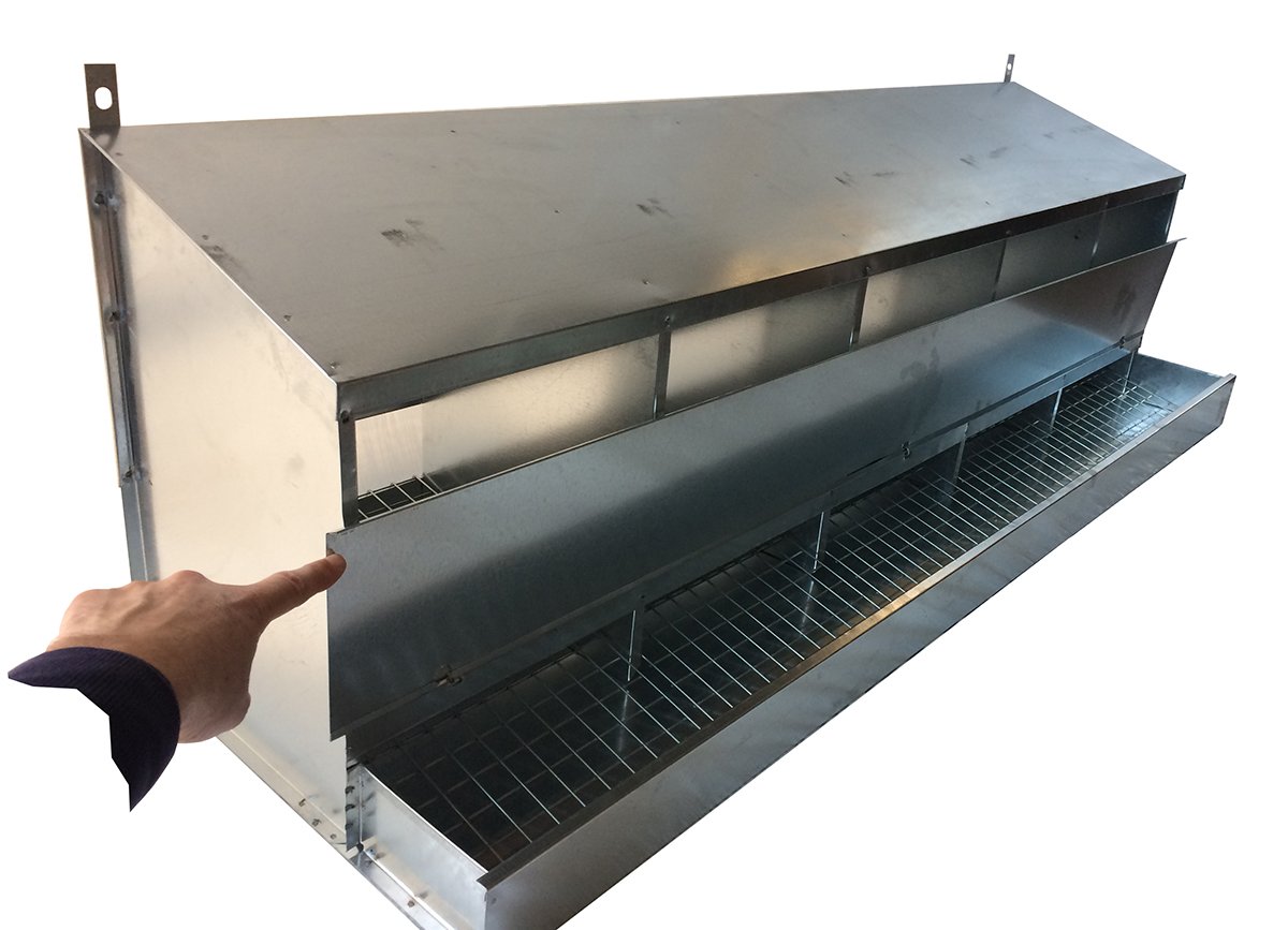 Nido a 5 Posti per Galline Ovaiole. Raccolta Uova dall'Interno del Pollaio. Cm 140 x 39 x H 42