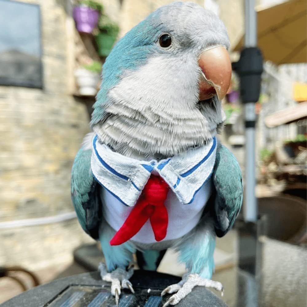 Parrot Bird Supplies,Light Flying Clothes,Summer Lighting Suit With Red Scarf,Comfortable And Suitable For Tiger Skin,Green Cheek Parrot,Little Sun Parrot, Monk Parrot, Lovebird,etc. (A,Large)