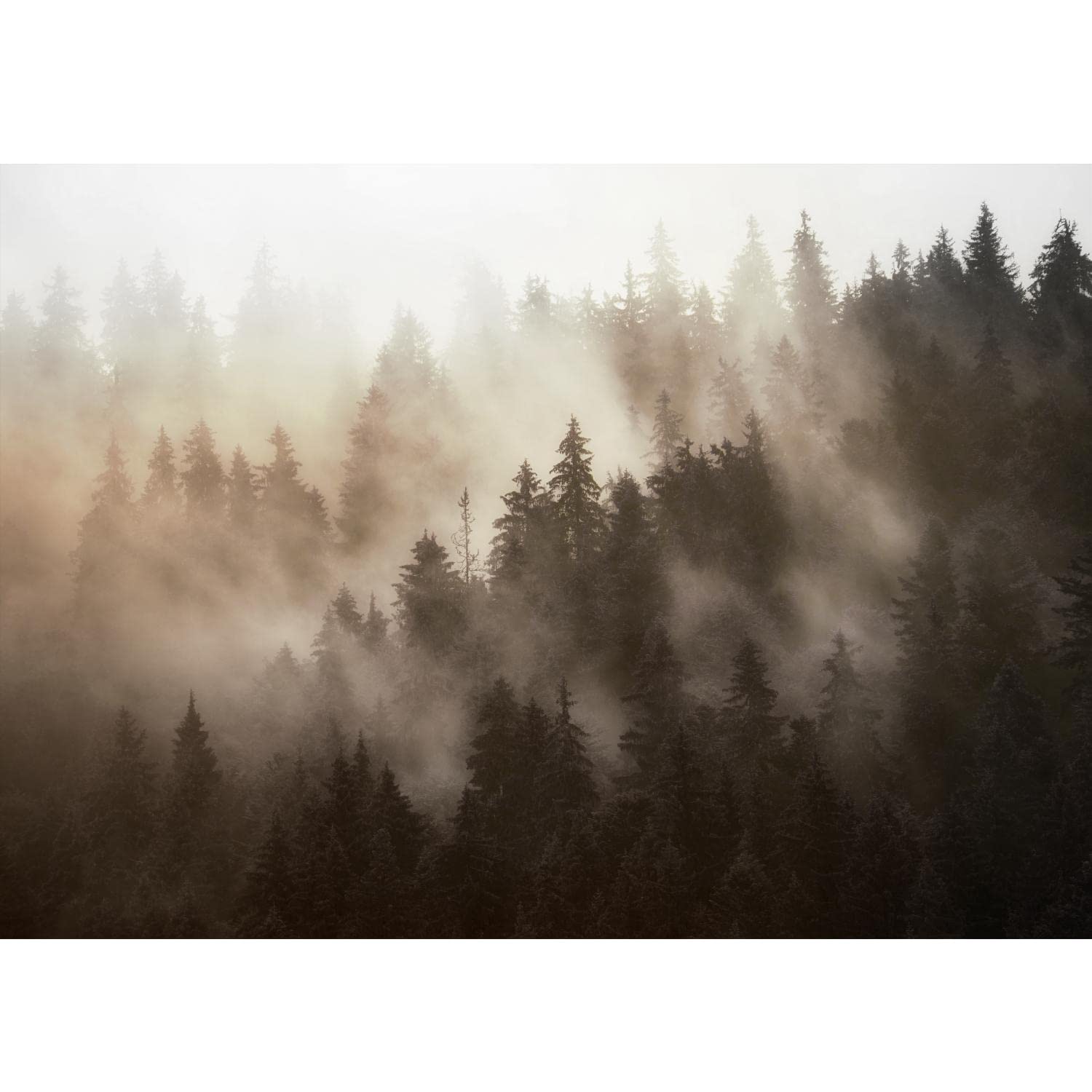 Runa Art Papel tapiz fotográfico bosque de niebla 352 x 250 cm Lana Fondo De Pantalla XXL Moderna Decoración De Pared Sala Cuarto Oficina Salón orange 9552011b