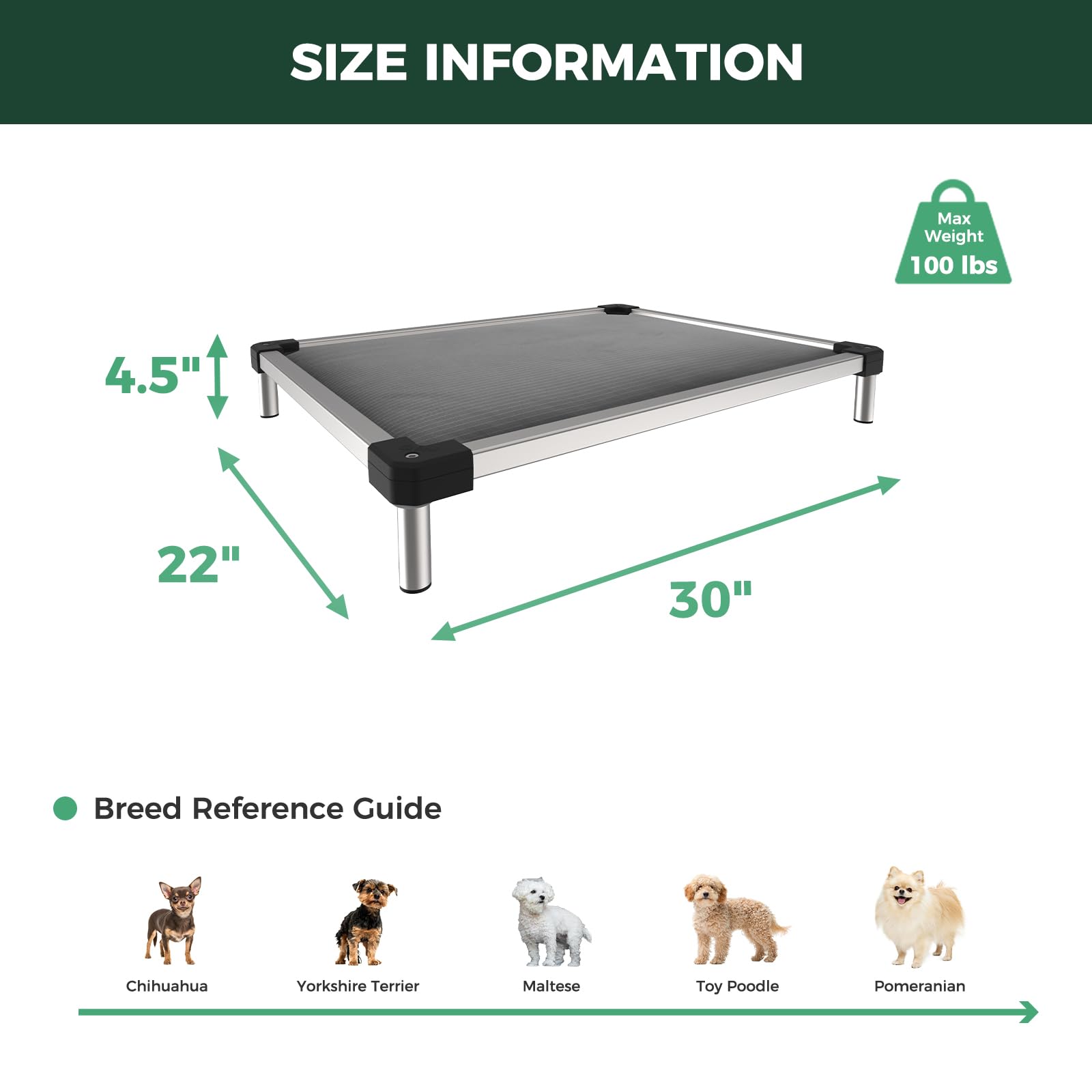 Amazon.com : FXW TitanNest Chew-Proof Elevated Dog Bed