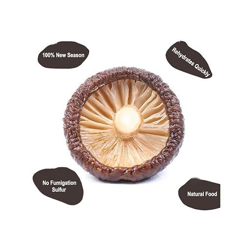 Miniatura 11 de ONETANG Setas Shiitake secas naturales – Sabores premium Setas extra secas de grado AAA para sopas, salsas, pasta y risotto se rehidratan