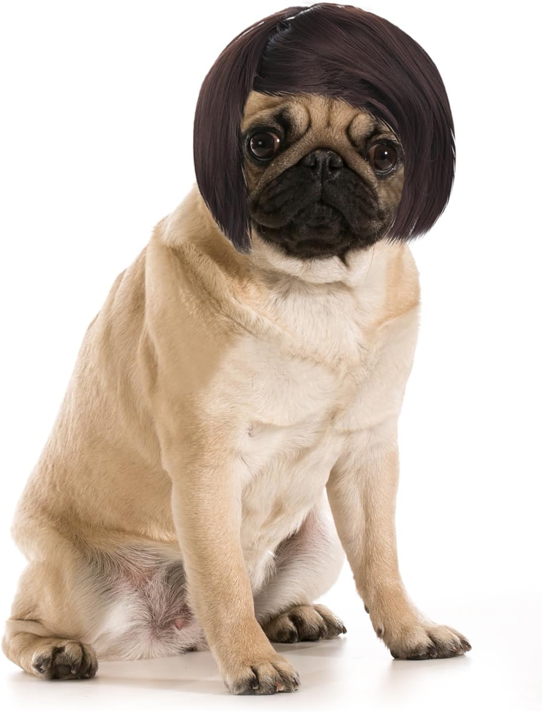 Peluca Cosplay Perro Ajustable Ropa Disfraces Accesorios Halloween Navidad