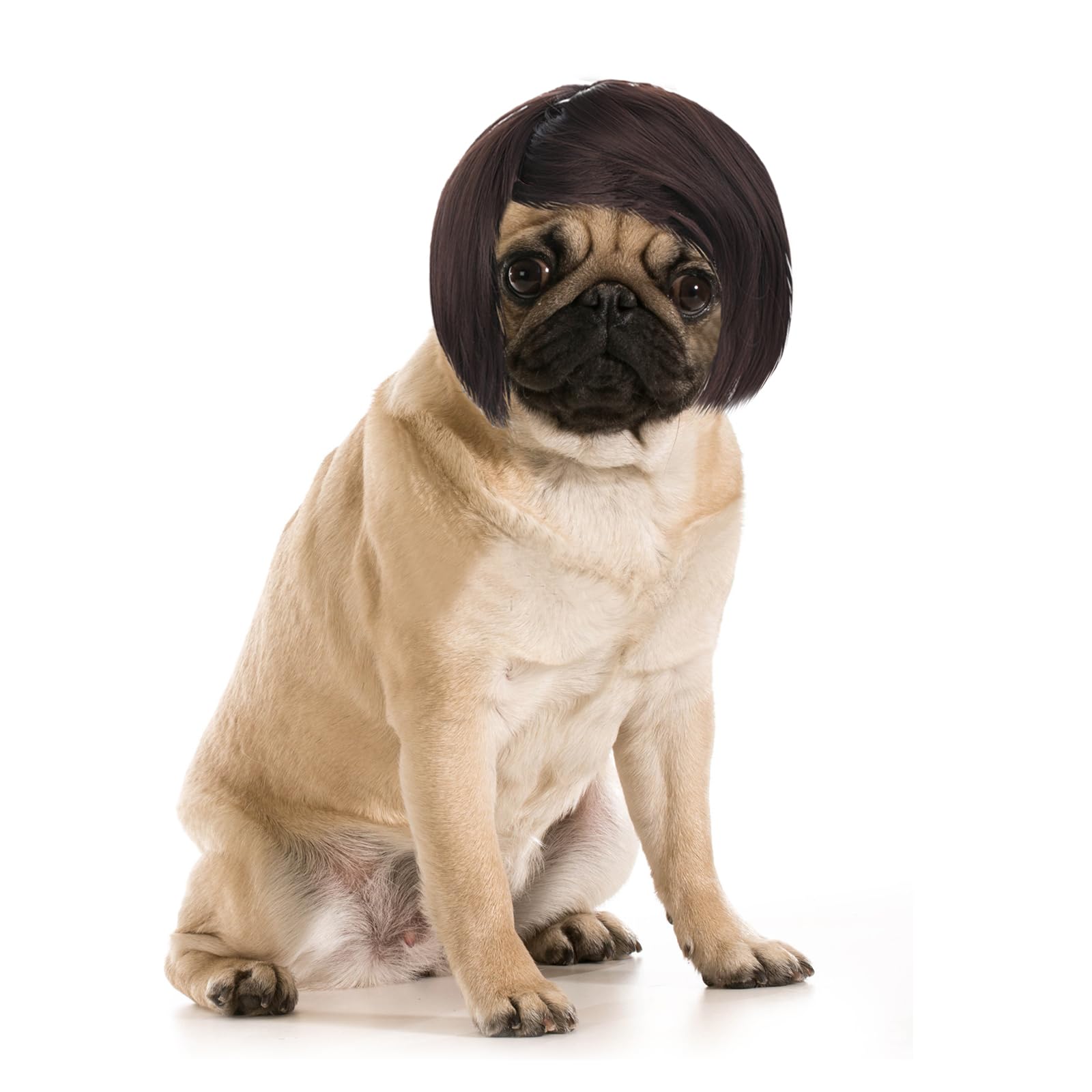 HJZHII Funny Dog Cosplay Wig, Adjustable Pet Costume Wig Headwear Dress Up Decorations for Small Medium Large Dog Cat Halloween Christmas Easter Party