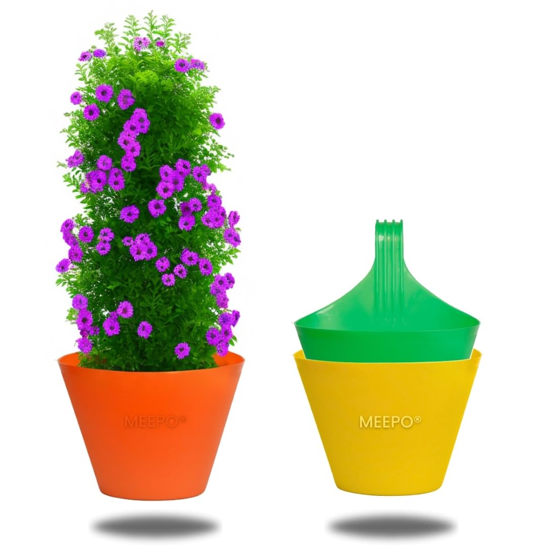 Meepo Indoor Outdoor Hanging Pots for Home & Balcony Garden|Plant Containers|Plastic Single Hook Hanging/Railing Pot Planter Flower Pots, Multicolour Set - 6 Inch(Pack of 2) (B0D4H6F12C) Amazon Price History, Amazon Price Tracker