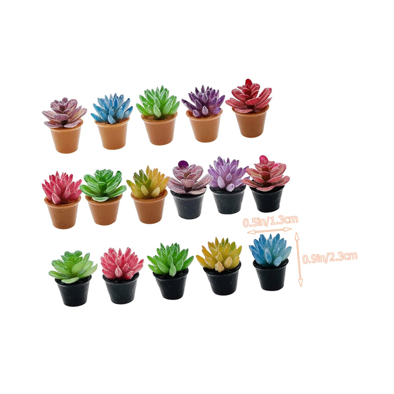 5点 まとめ出品　多肉植物 dd3f0575ee8cb467a1ede833595a8b