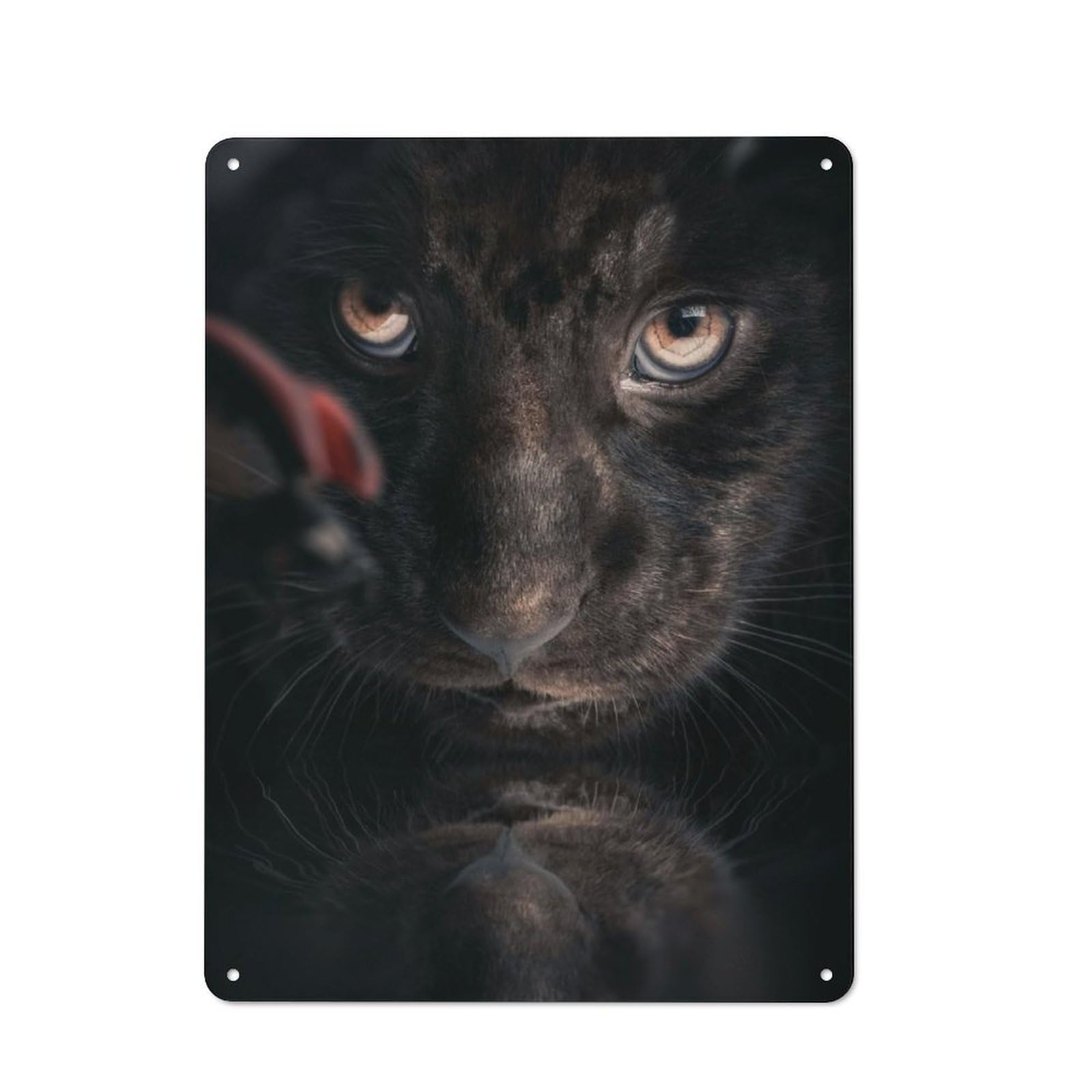 Junmoney Black Jaguar Cub Printed Metal Sign 40X30cm For Café Or Restaurant, New-Space Wall Decor For Café Owners And Decorators