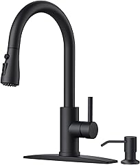 FORIOUS Black Kitchen Faucet + Soap Dispenser