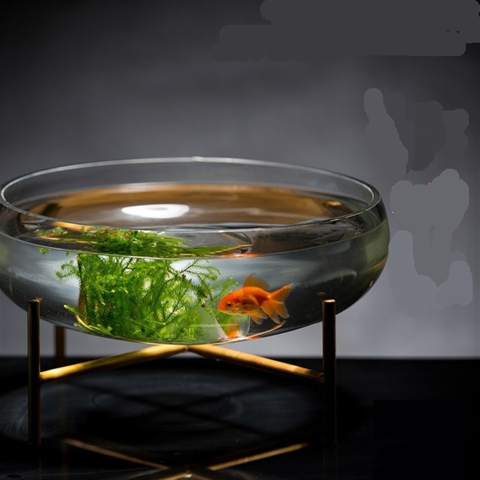 Acuario Tanque de peces de vidrio grande, diámetro ancho, tanque de peces en forma de cuenco, tanque de tortuga transparente, decoración de escritorio, planta hidropónica, macetero Acuario(Grande)