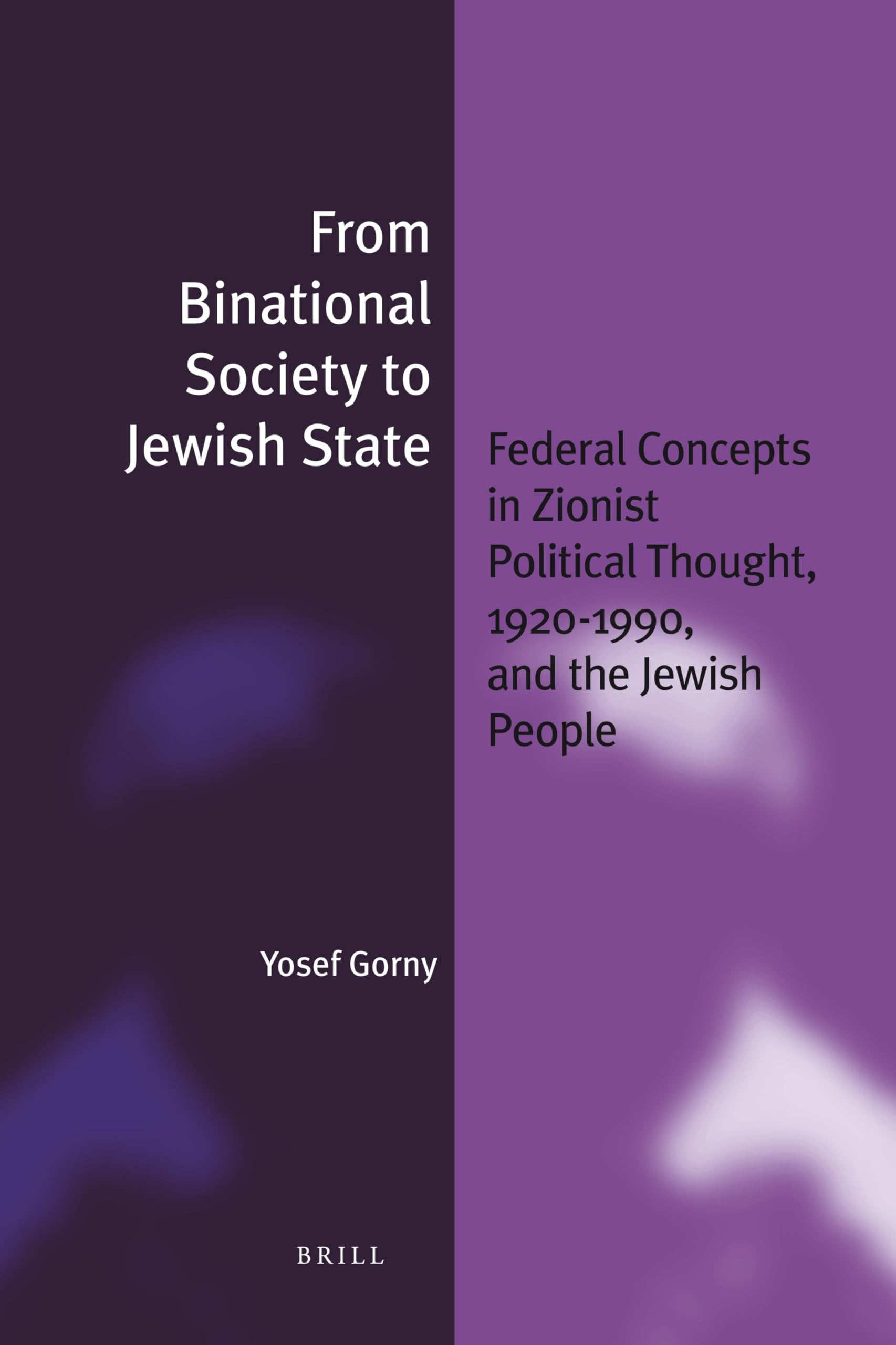 From Binational Society to Jewish State (paperback): Federal Concepts in Zionist Political Thought, 1920-1990, and the Jewish People: 7 (Jewish Identities in a Changing World, 7)