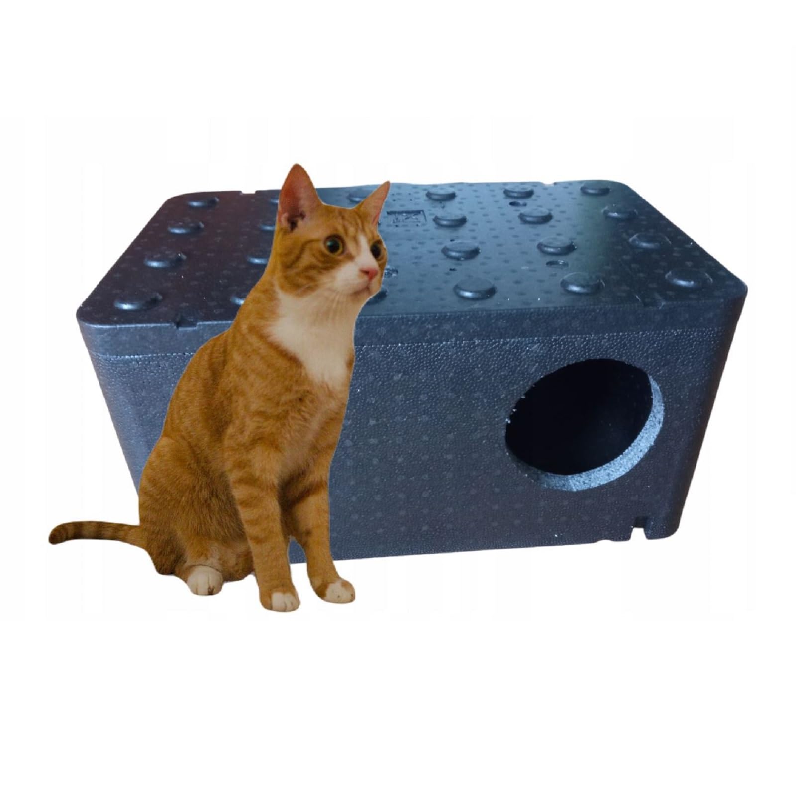 QLS Maison pour Chat isolée en polystyrène 60 x 40 cm Noir