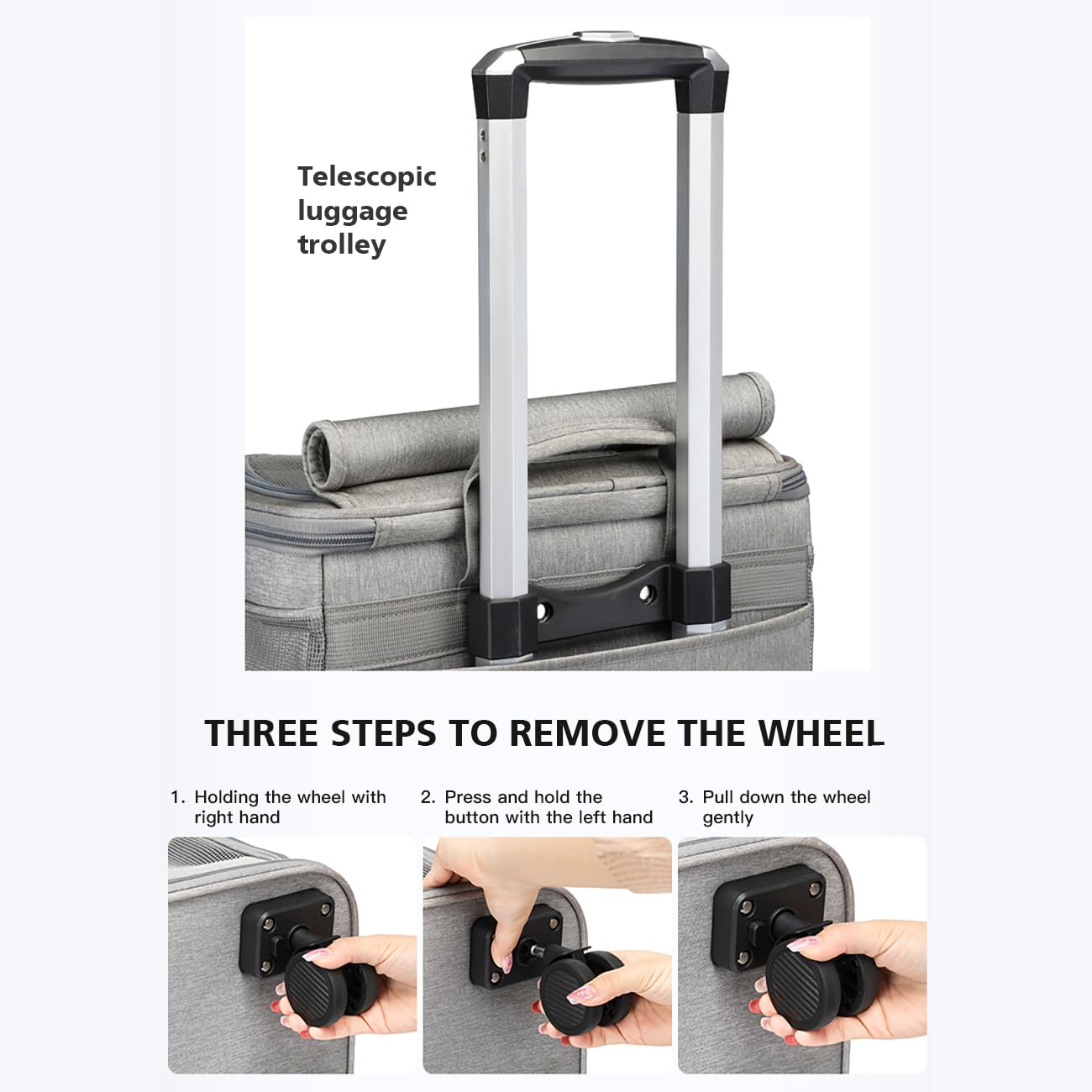 https://m.media-amazon.com/images/I/61SYMOCJijL.jpg