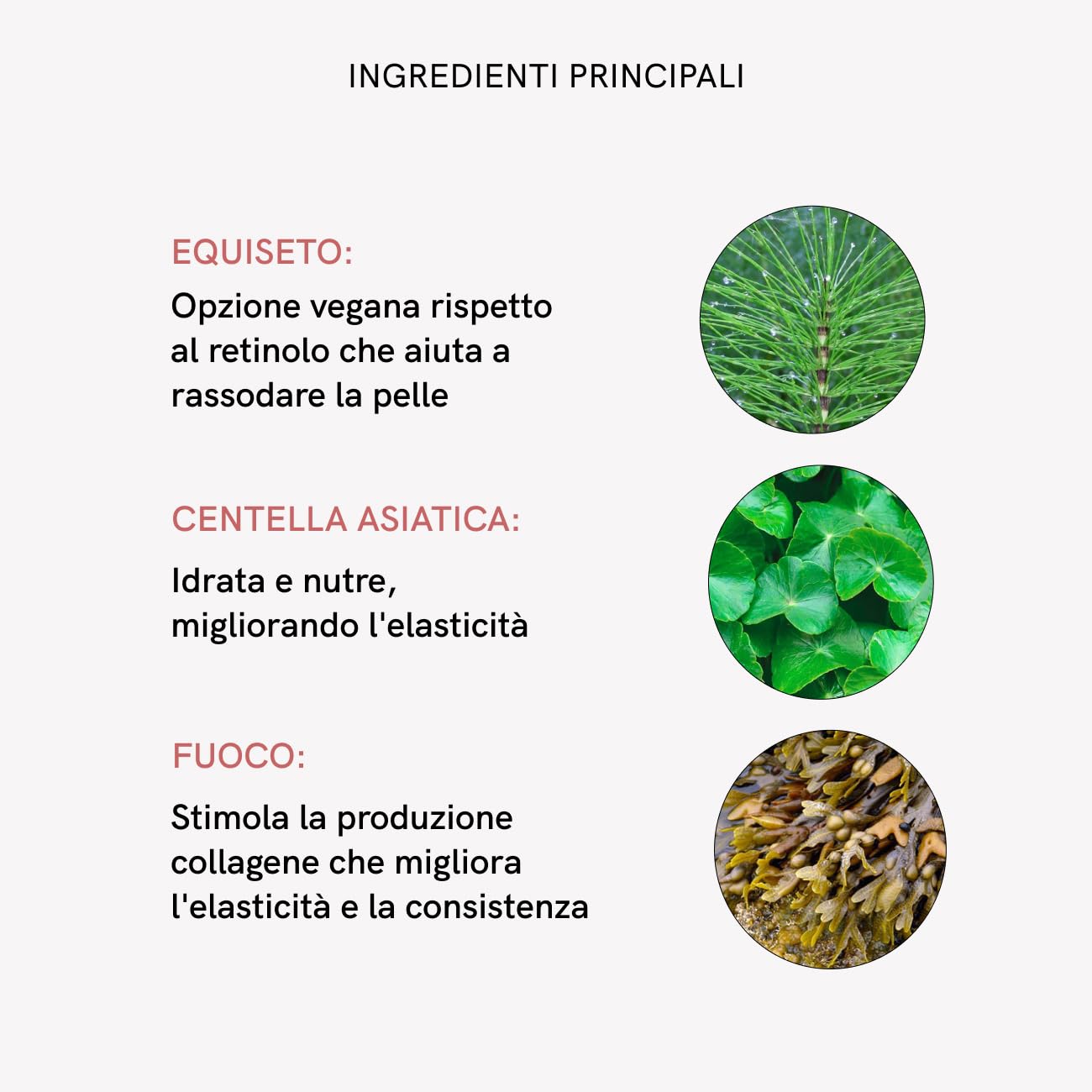 MASDERM Crema Conduttiva Tecar - 1 L per Radiofrequenza e Ultrasuoni Diatermia, Cavitazione con Equiseto Fucus Centella Asiatica, Effetto Rassodante e Idratante Uso Professionale