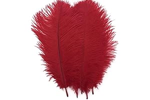 Shekyeon Red Ostrich Feather: A Read Feather in Your Cap