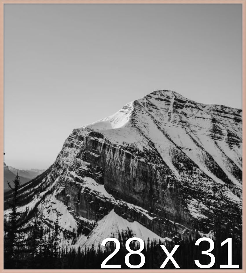 Frame It Easy 28 x 31 Rose Gold Metal Frame (Ashford)