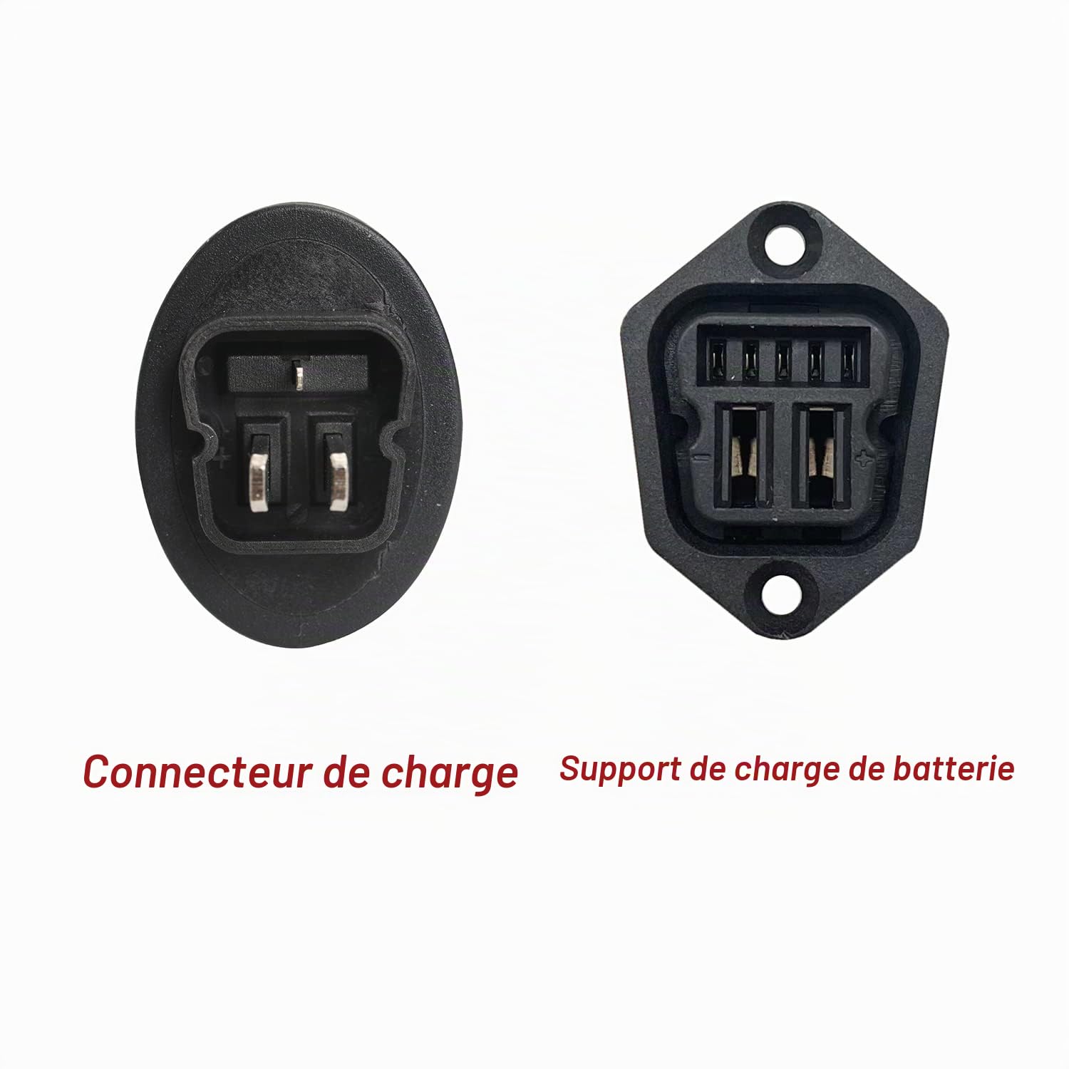 Chargeur pour batteries Stella E-Bike 36 V 2 A avec prise ovale DZLM3620-M2
