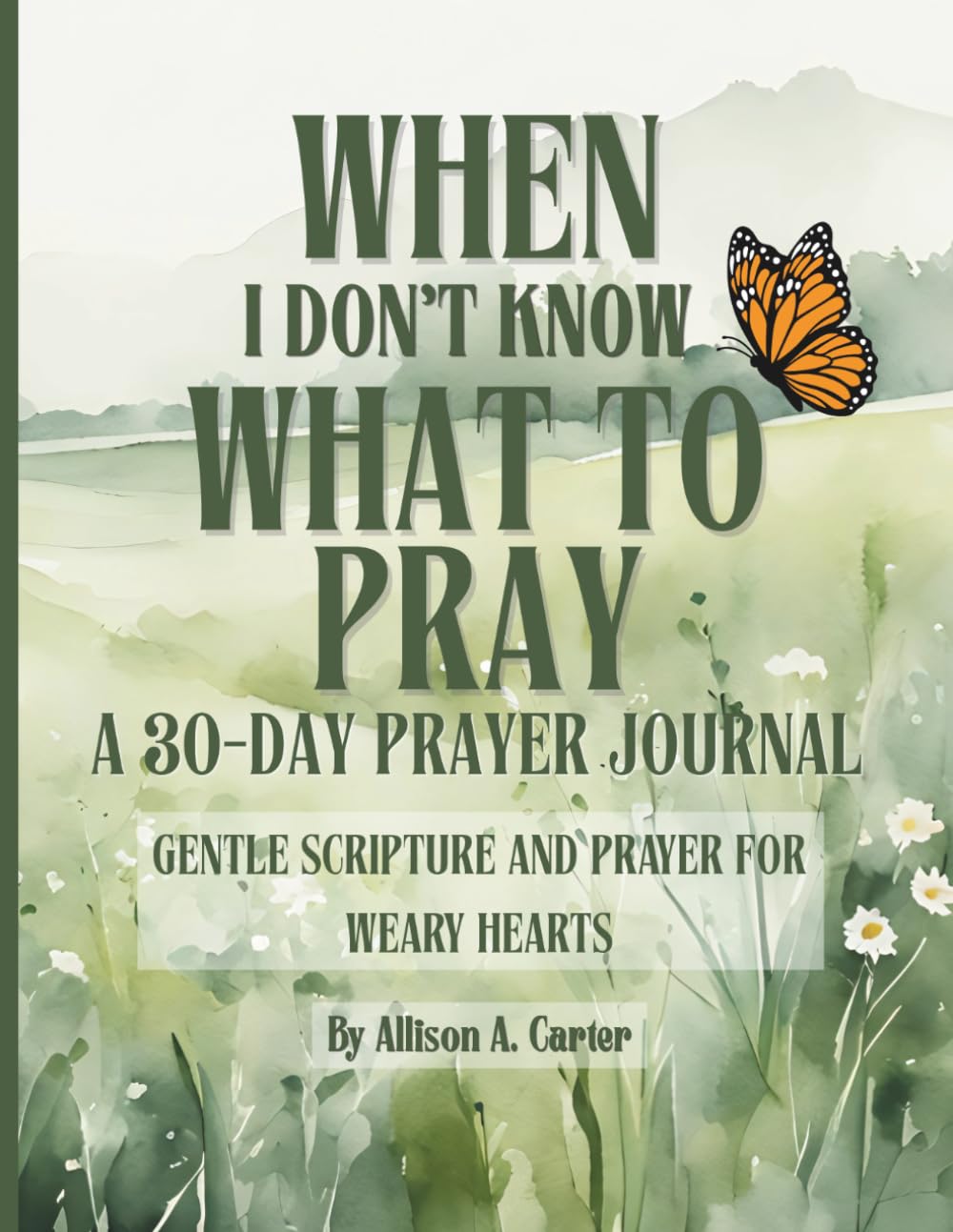 When I Don't Know What to Pray: A 30-Day Prayer Journal: Gentle Scripture and Prayer for Weary Hearts