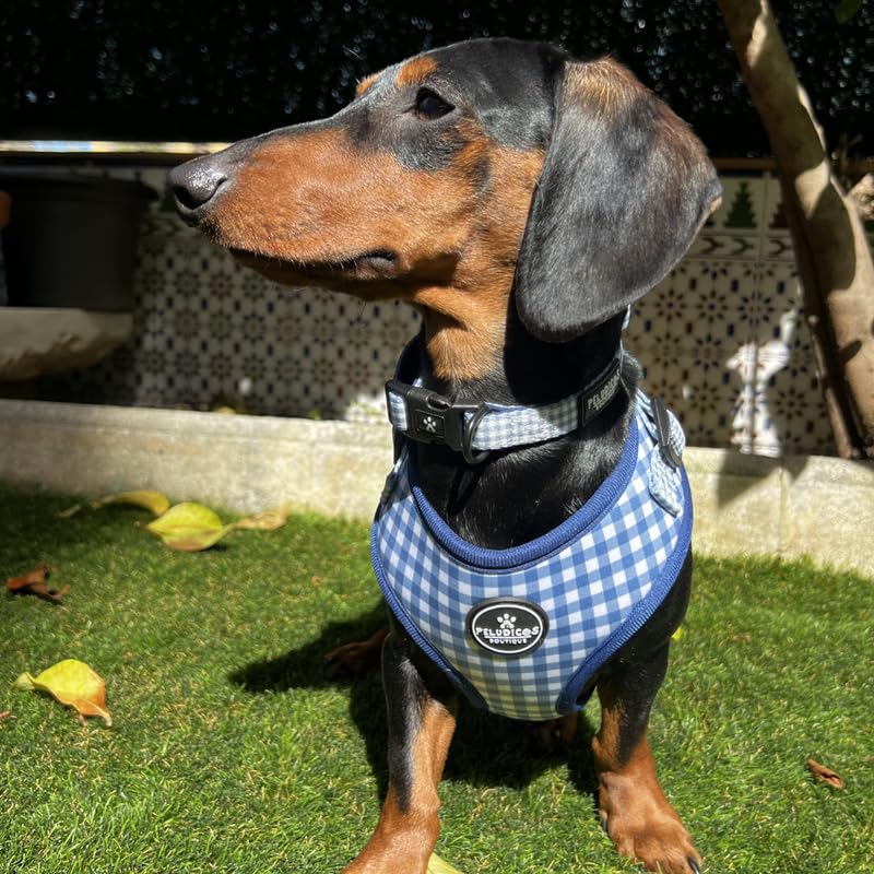Arnés M Vaquero para Perro Ajustable de Neopreno - Diseño Vichy - 4 Tallas - Arnés Cómodo y Resistente para Perros