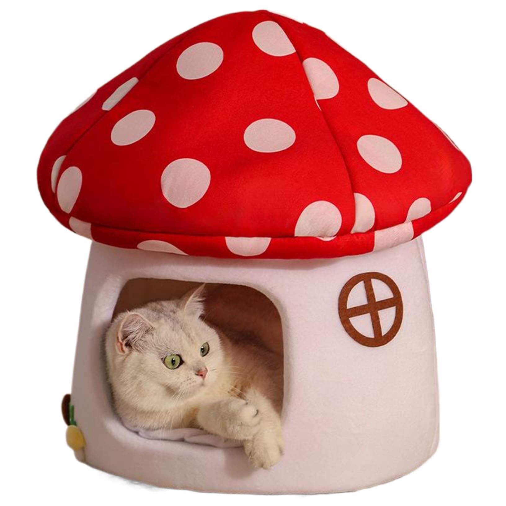 Couche champignon et lit de chat aux champignons contre le stress animal