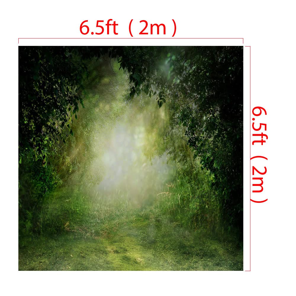 Kate Backdrop Photographie 2 * 2m/6.5 * 6.5ft Fond Mural Vieux Arbres Soleil Décor Naturel Photographie Forêt de Rêve Fond de Séance Photo Printemps Jungle Forêt Pluviale Fond Mural Scintillant