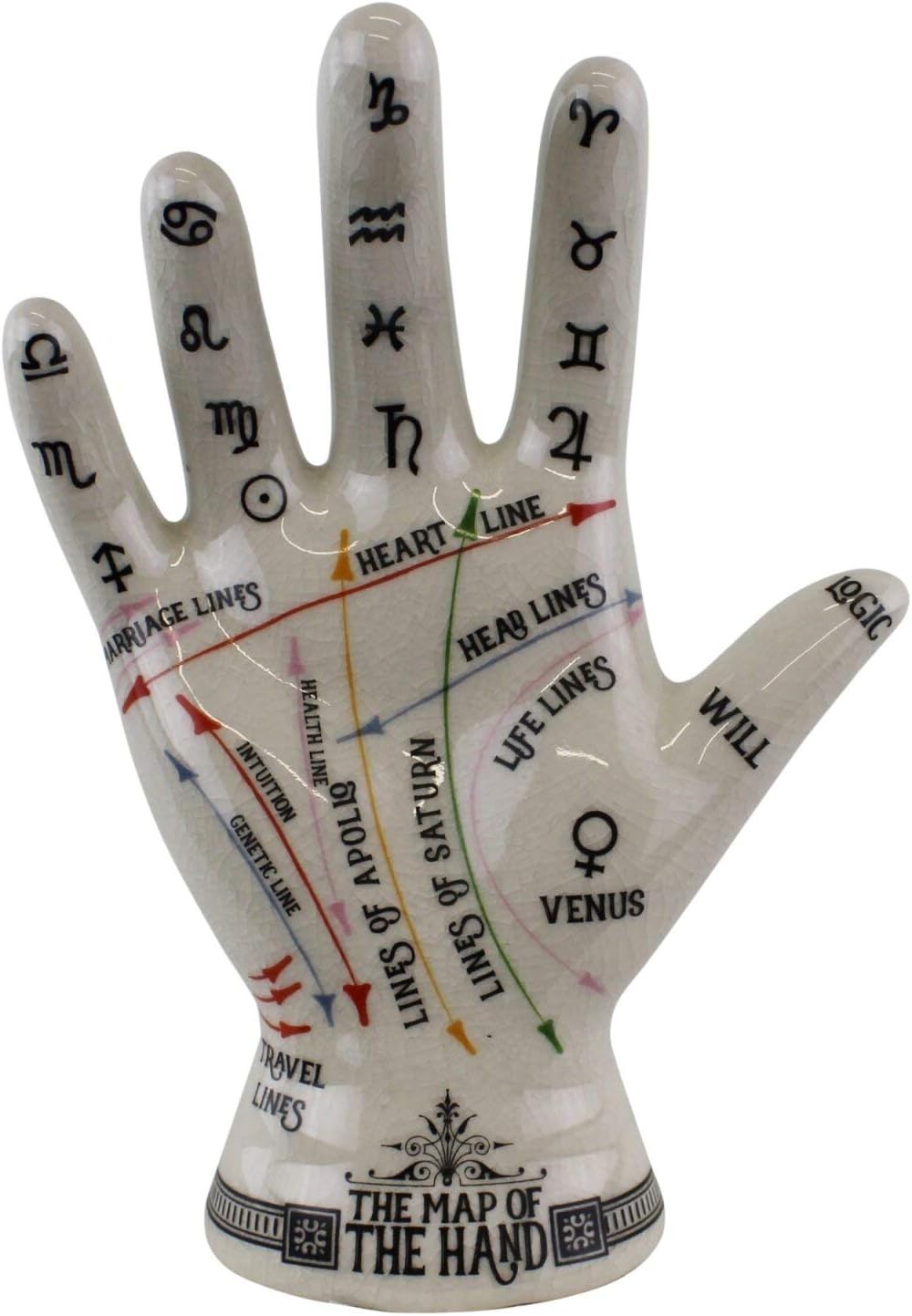 Oak Tree Temerity Jones Porcelain Crackle Phrenology Palmistry Hand Map of the Hand