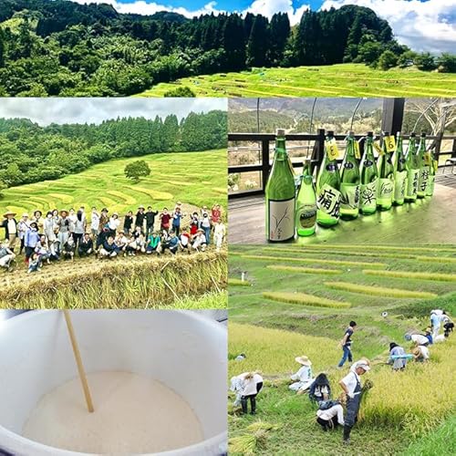 [先着50組]令和8年度 大山千枚田『酒づくりオーナー制度』参加権利 [0057-0003]