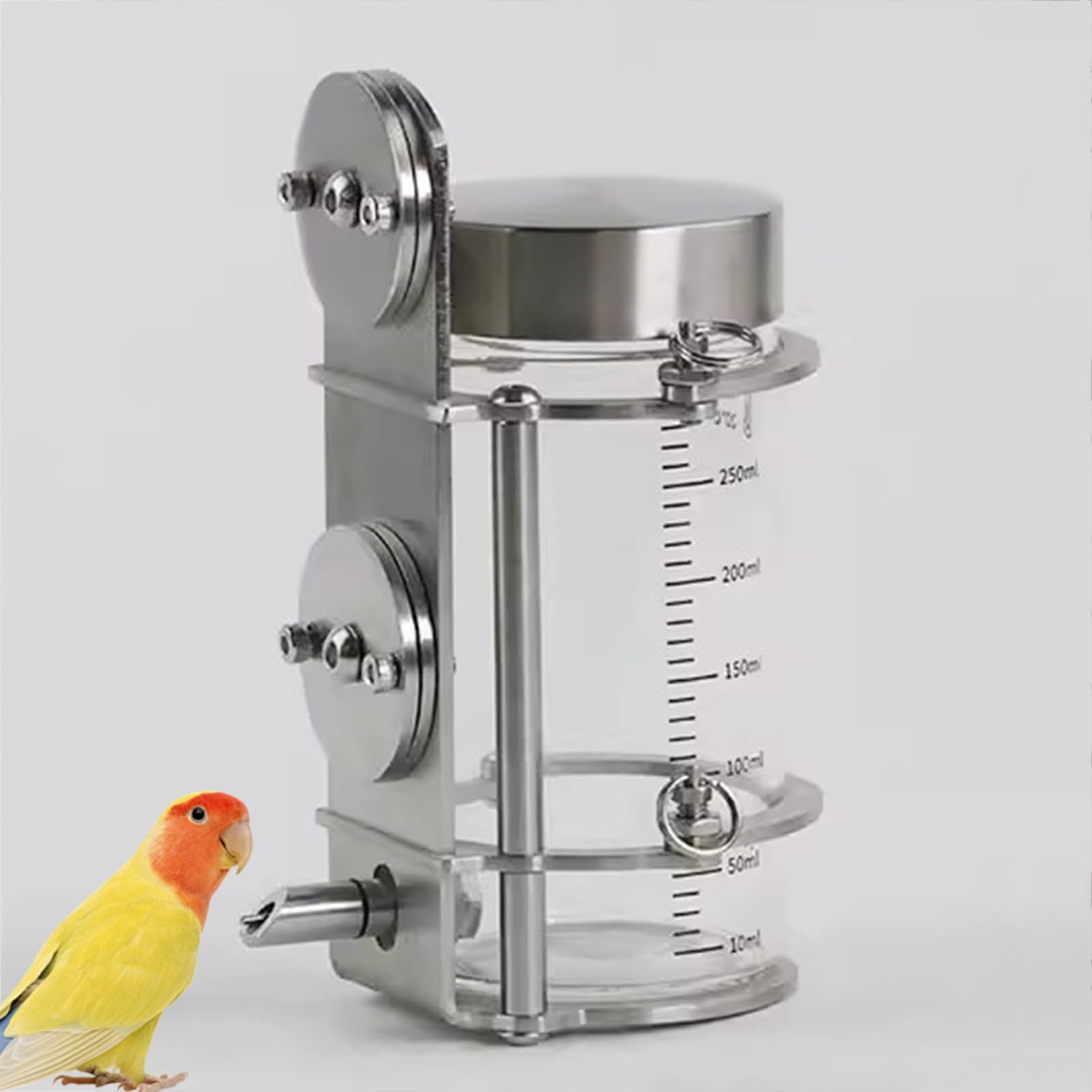 Bottiglia d'acqua in vetro per uccelli, distributore automatico di acqua con supporto universale a gabbia, abbeveratoio per piccoli animali per conigli, pappagalli, roditori, 300 ml/500 ml