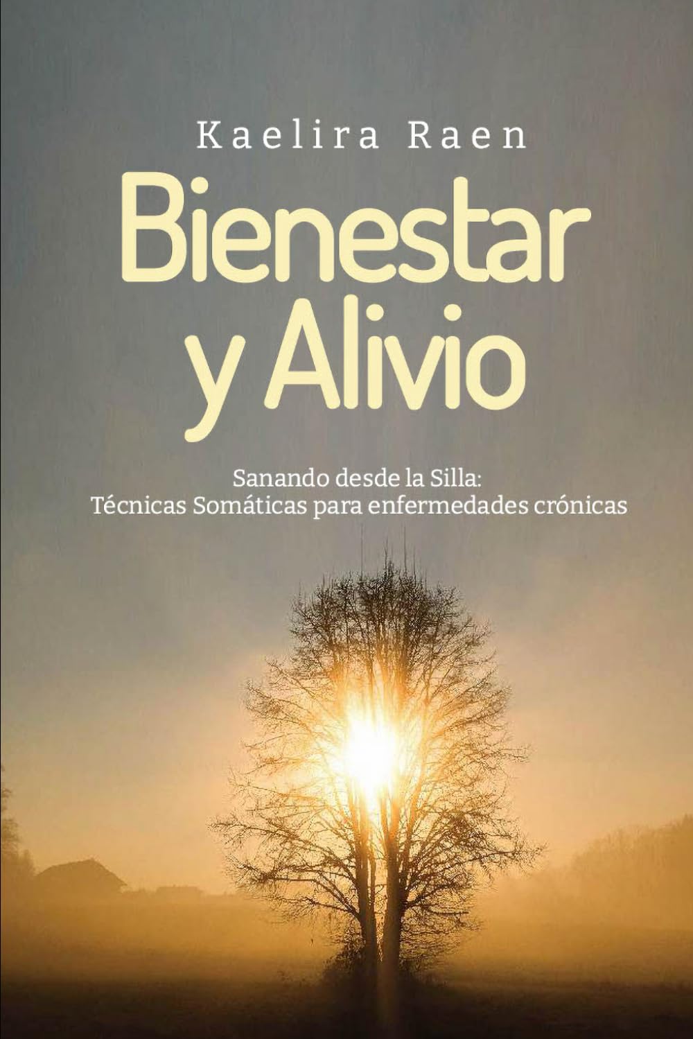 Bienestar y Alivio - Sanando desde la Silla: Técnicas Somáticas y Ejercicios Suaves para Aliviar dolores crónicos. (Incluye Diario de Progreso)