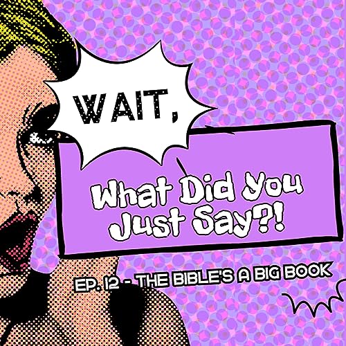 『The Bible's a Big Book』のカバーアート