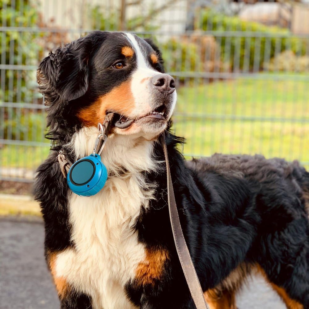 Pet Tunes Walk - Portable Bluetooth Speaker for Dogs with Preloaded Calming Music - Dog Anxiety Relief for Walks, Outdoor Adventures, and Travel - Pet Music Device for Puppy and Adult Dogs - Blue