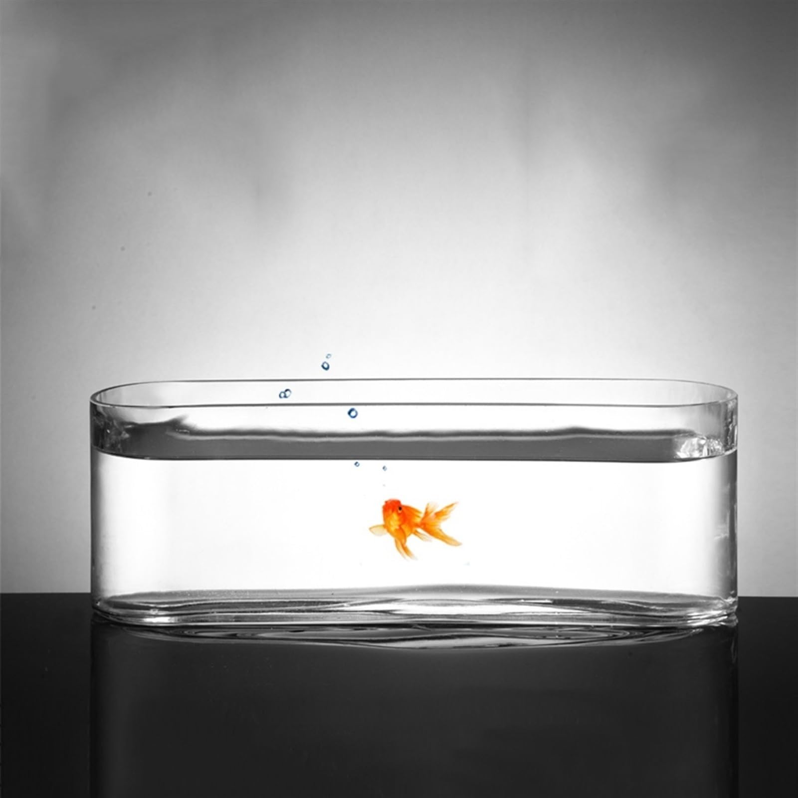 Acuario Tanque de Peces de Vidrio pequeño, Tanque de Peces Rectangular, Acuario, Tanque ecológico, Vidrio Transparente, Sala de Estar, Oficina, Escritorio, decoración de pecera Peces Acuario(Grande)