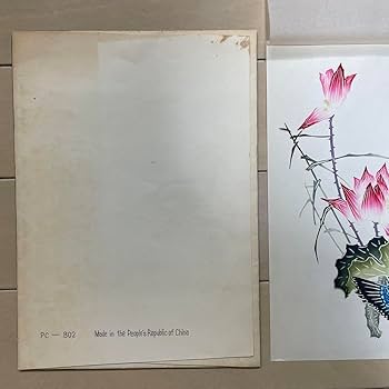 Amazon.co.jp: 中国 切り絵 中国剪紙 ペーパーアート 芸術