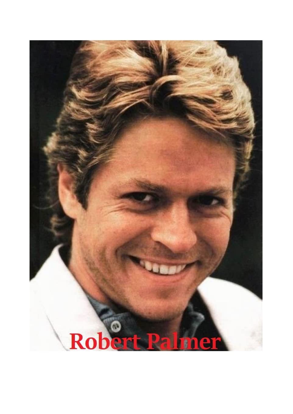 Robert Palmer: The Untold Story