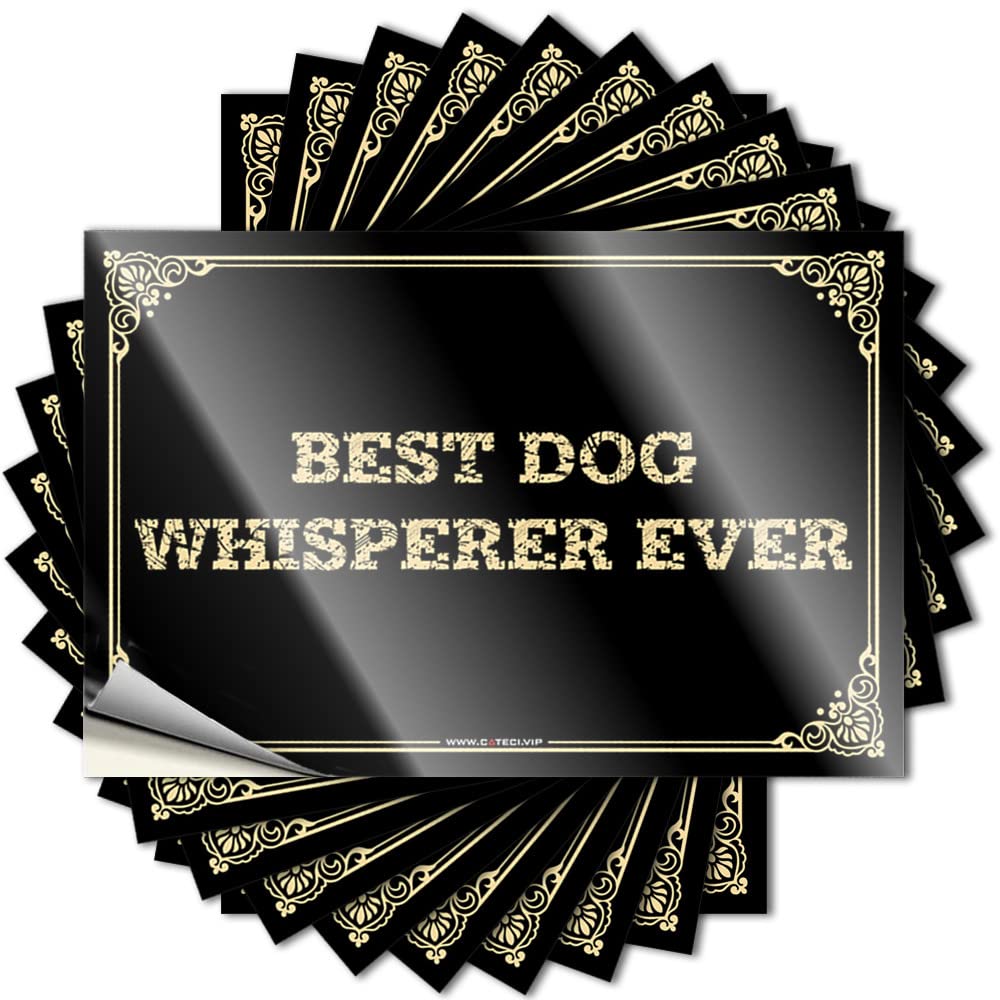 Stitch, Quote Hunting Water Best Dog Whisperer Ever | Cute Waterproof Vinyl Stickers(12X18CM)