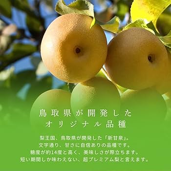 【9/7迄価格】 高梨豊　オリジナルプリント額装『町』より万定フルーツパーラー 9/7迄価格】 高梨豊 オリジナルプリント額装『町』より万定