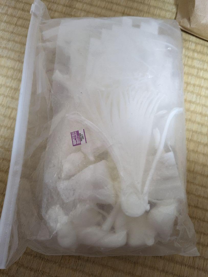 Amazon.co.jp: WF2023冬 アズールレーン 大鳳 春の暁に鳳は歌う 